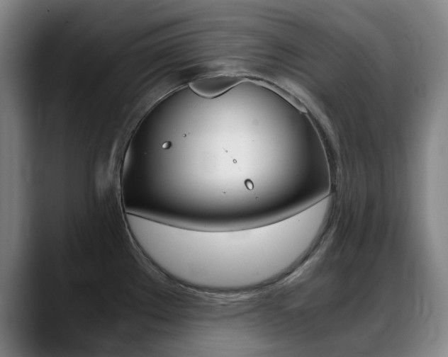 X0000089361289200706150816