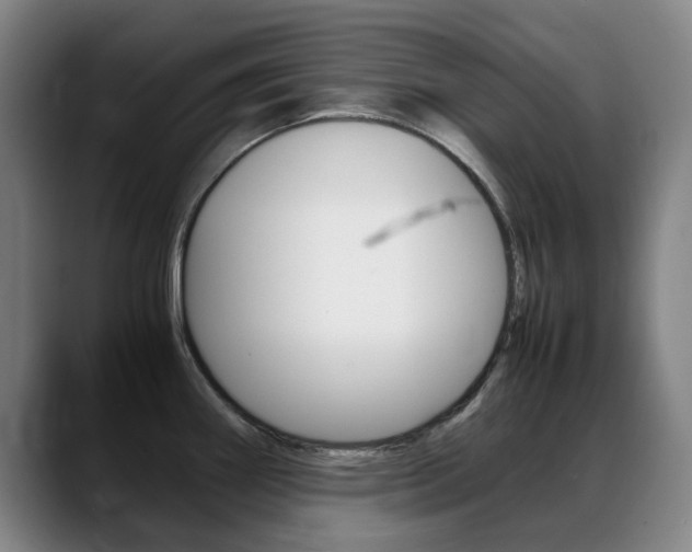 X0000089361290200706150816