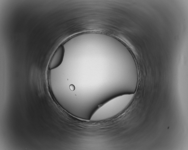 X0000089361291200706150816