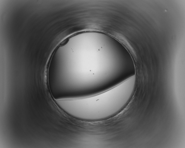 X0000089361292200706150816