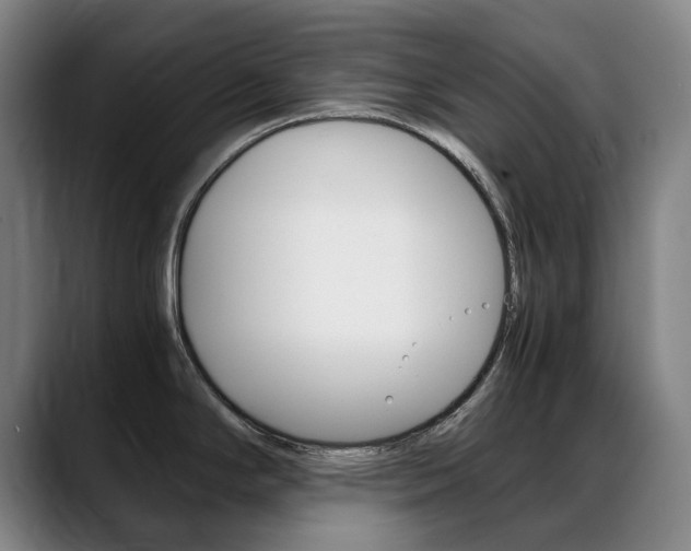 X0000089361294200706150815