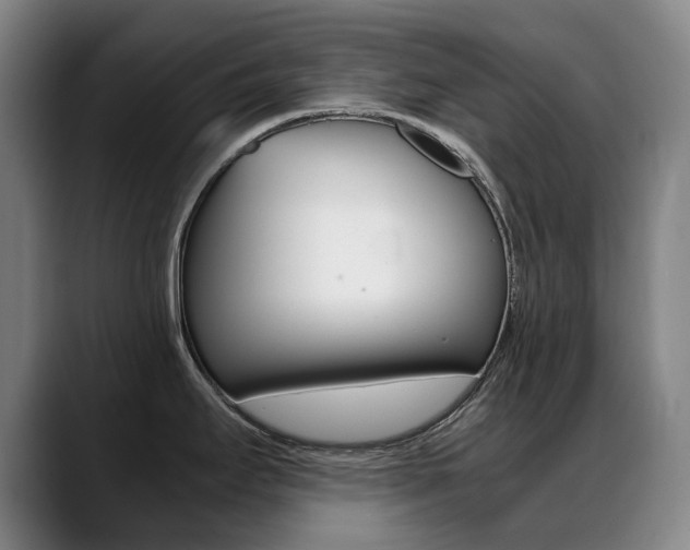 X0000089361295200706150815
