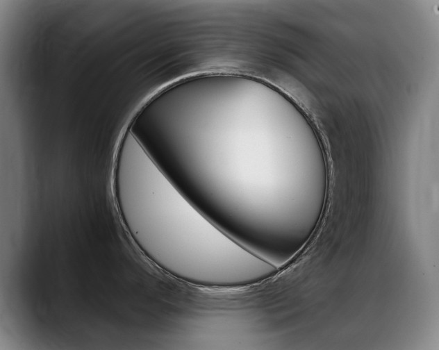 X0000089361296200706150815