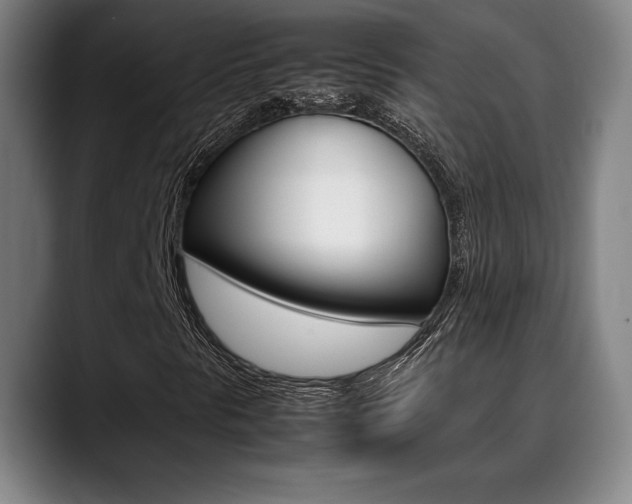 X0000089361297200706150815