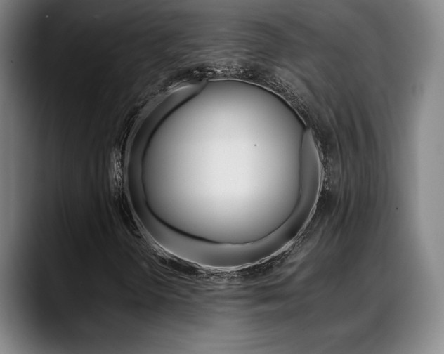 X0000089361298200706150815