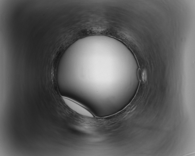 X0000089361299200706150815