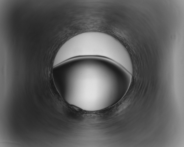 X0000089361300200706150815