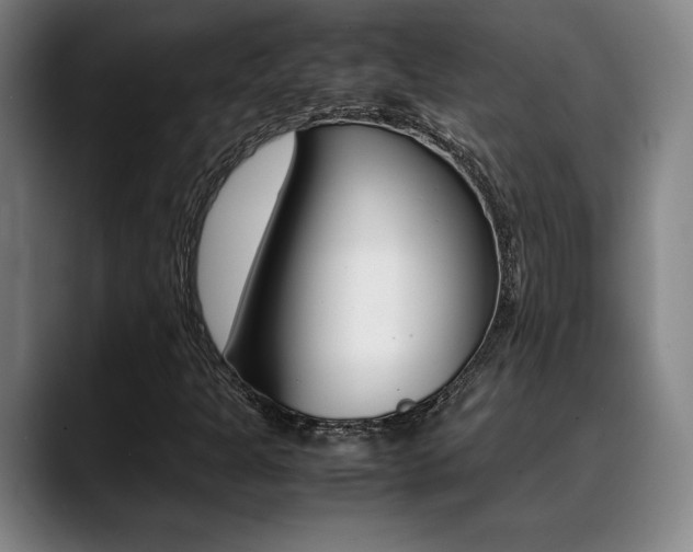 X0000089361301200706150815