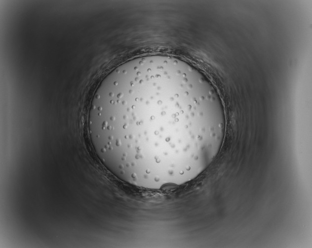 X0000089361302200706150815