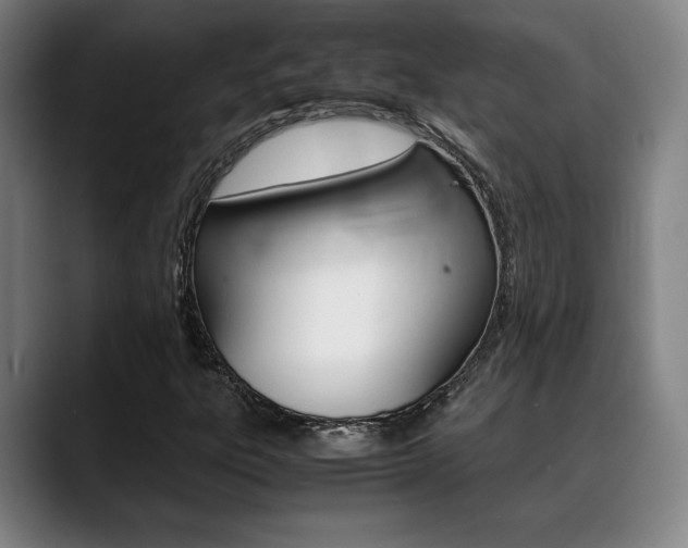 X0000089361303200706150815