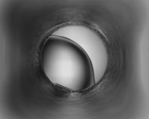 X0000089361304200706150815