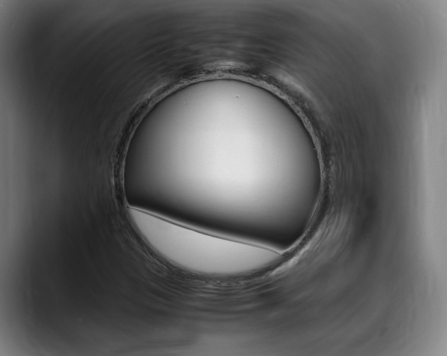 X0000089361305200706150815