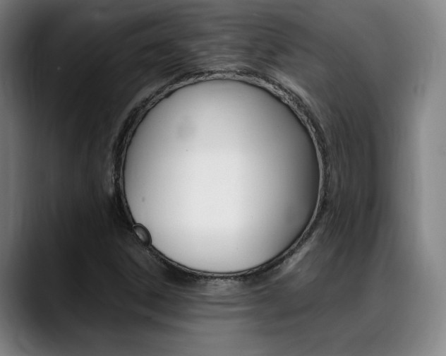 X0000089361306200706150815