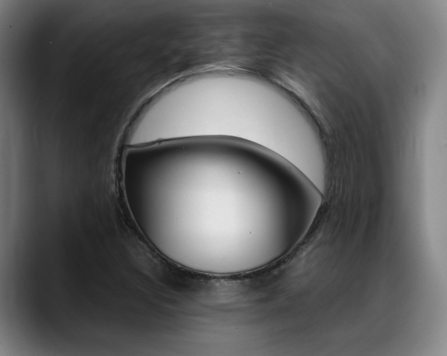 X0000089361308200706150815
