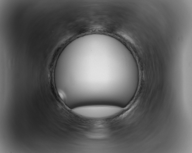 X0000089361309200706150815