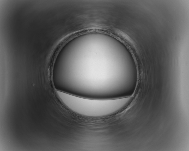 X0000089361310200706150815