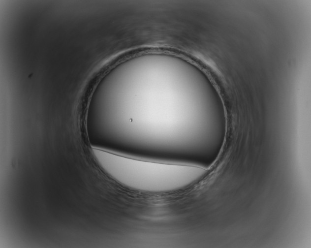X0000089361311200706150815