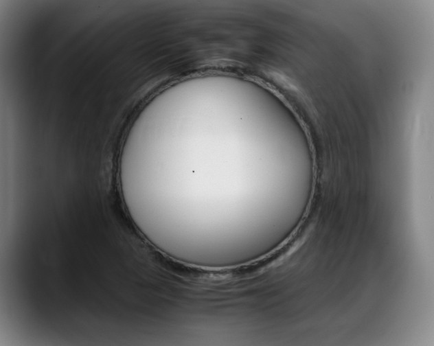X0000089361313200706150815