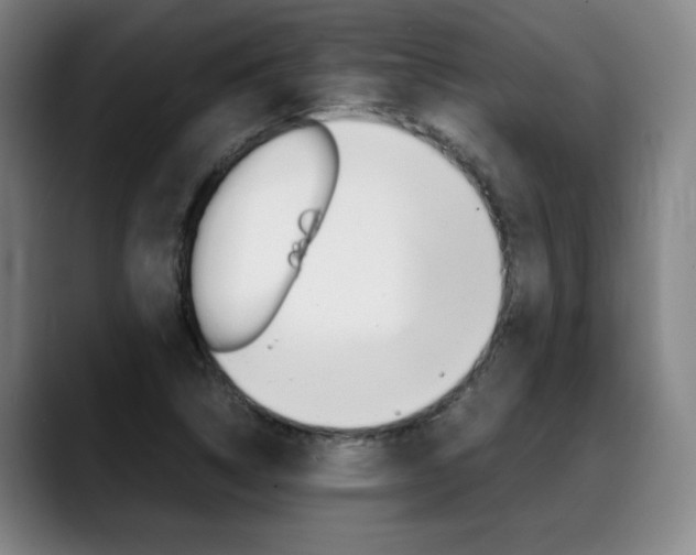 X0000089361314200706150815