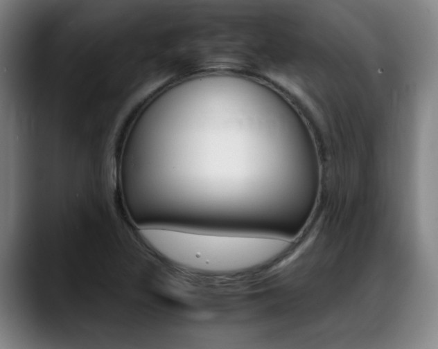 X0000089361317200706150815