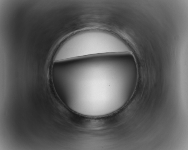 X0000089361318200706150815