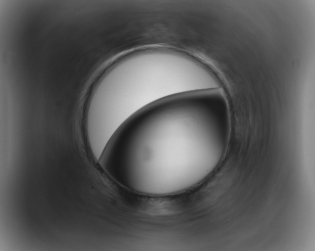 X0000089361319200706150815