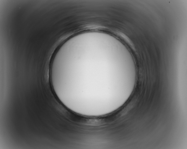 X0000089361322200706150815