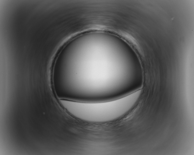 X0000089361326200706150815