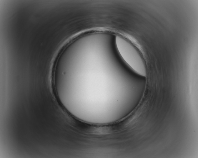 X0000089361327200706150815
