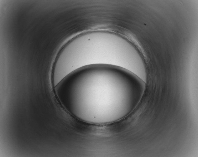 X0000089361328200706150815