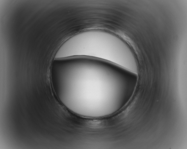 X0000089361329200706150815