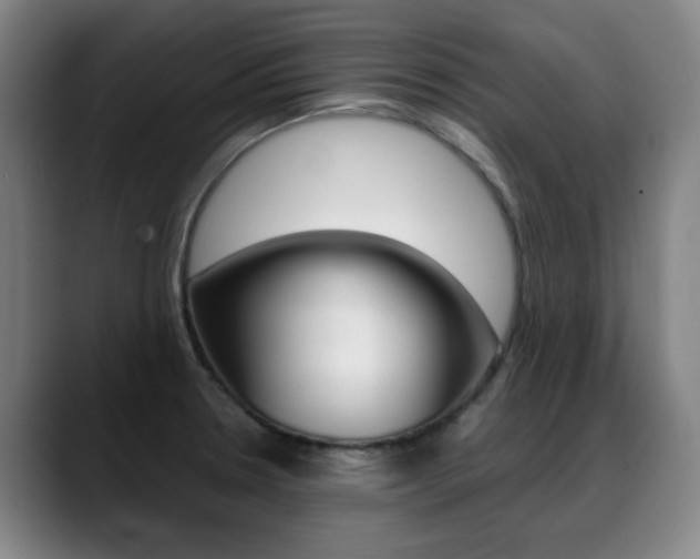 X0000089361330200706150815