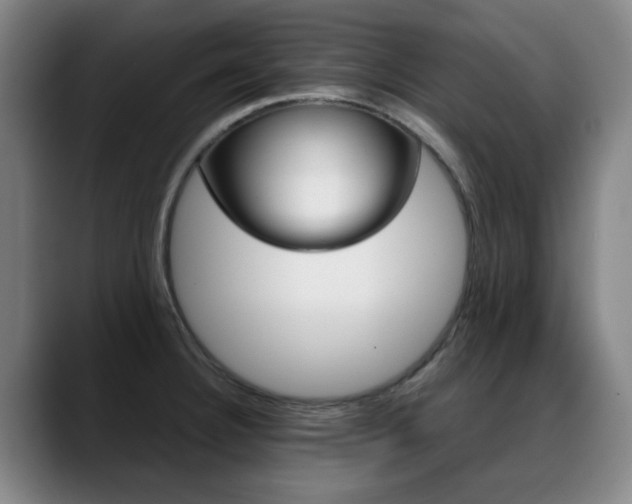 X0000089361332200706150815