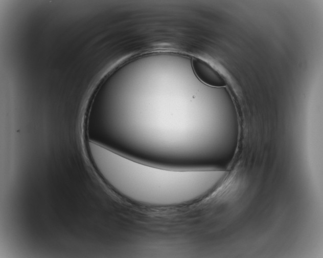 X0000089361333200706150815