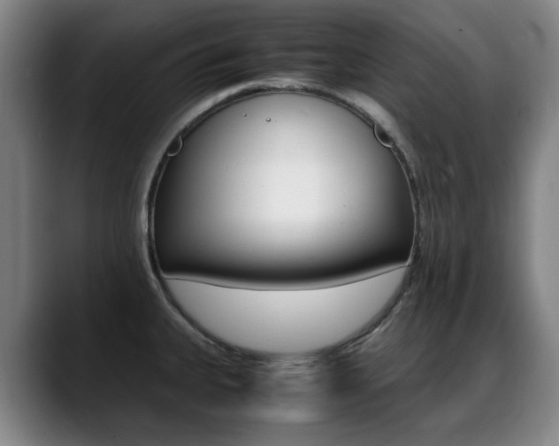 X0000089361335200706150815