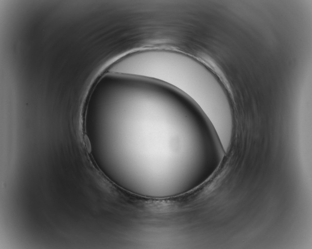 X0000089361336200706150815