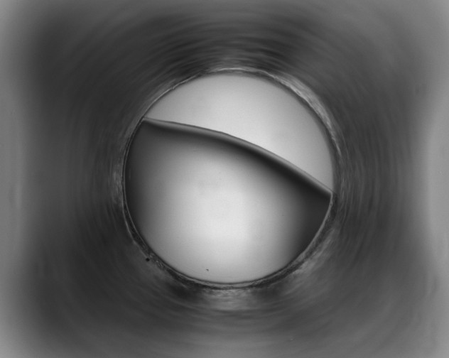 X0000089361337200706150815