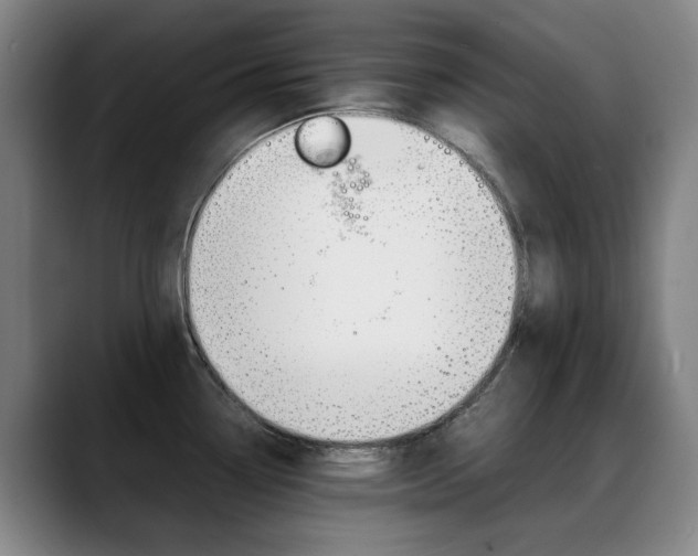 X0000089361338200706150815