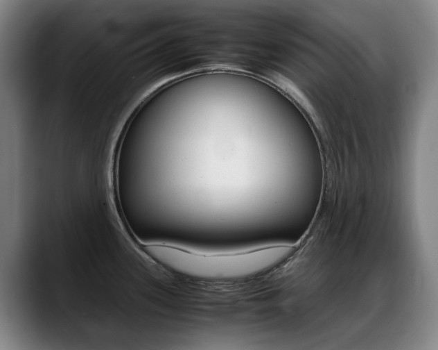 X0000089361339200706150815
