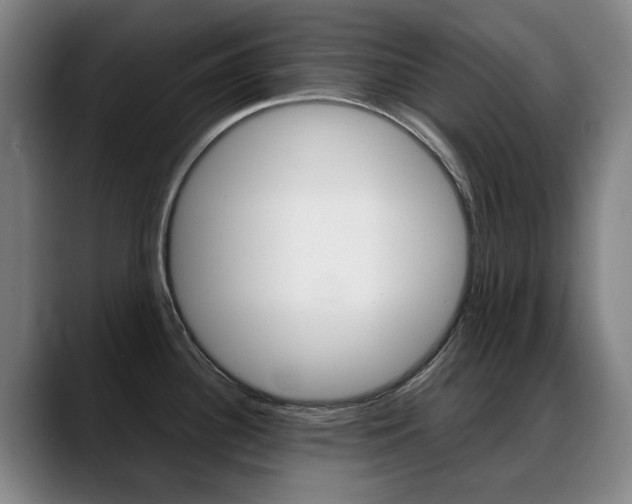 X0000089361340200706150815