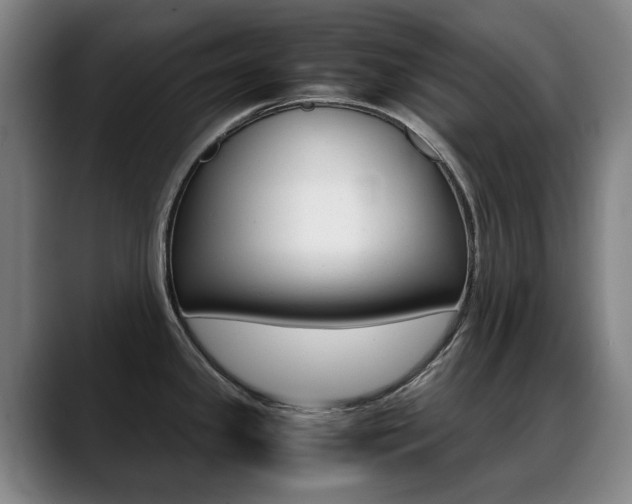 X0000089361341200706150815