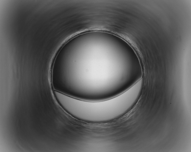 X0000089361342200706150815