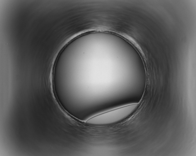 X0000089361343200706150815