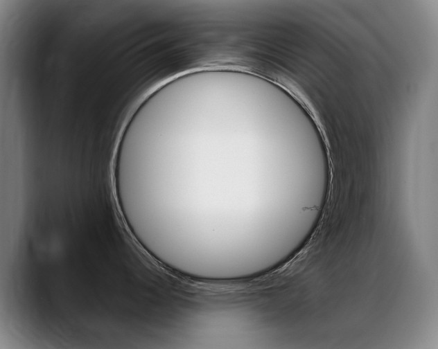 X0000089361344200706150815