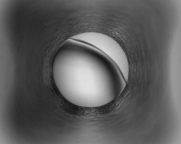 X0000089361345200706150815