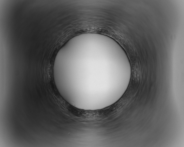 X0000089361346200706150815