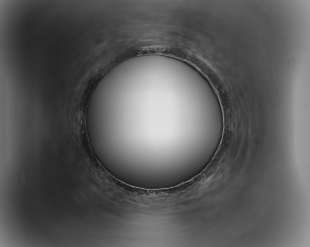 X0000089361351200706150815
