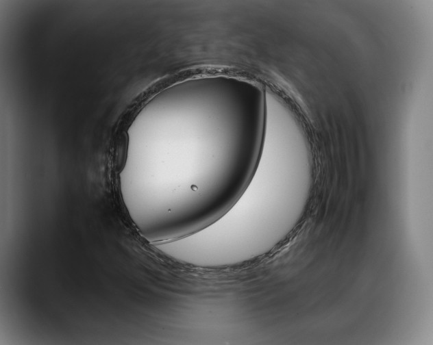 X0000089361352200706150815