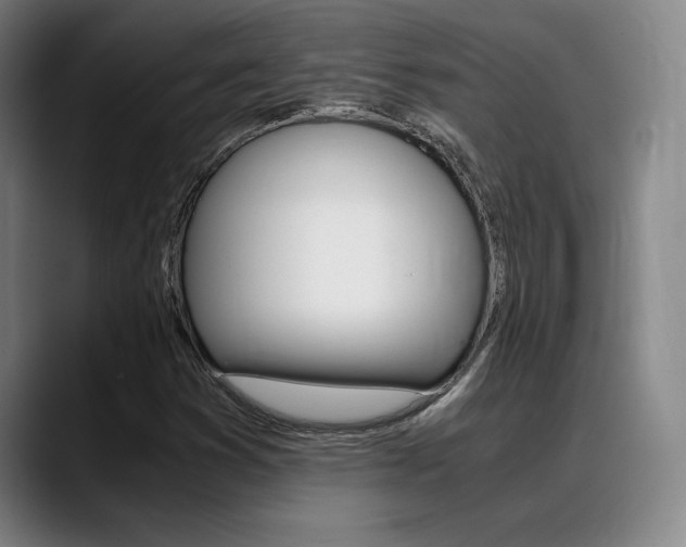X0000089361353200706150815