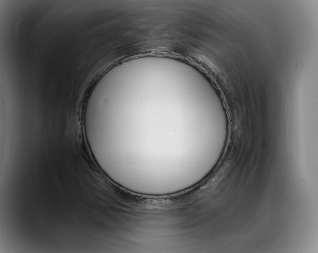 X0000089361354200706150815